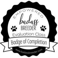 badge of completion - empowered badass breeder evaluation class for Owen-a-doodle