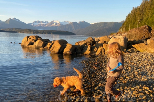A Goldendoodle joyfully plays with a girl along the shoreline in Washington State, creating a picturesque scene of friendship and natural beauty