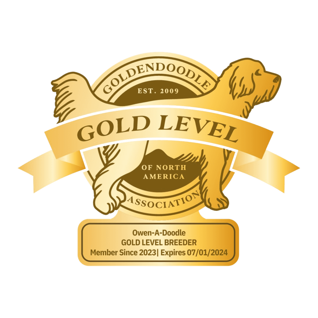 Goldendoodle Association Gold Level Breeder Certified
